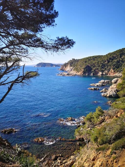 Apartamento Con Piscina L' Ancora Calella De Palafrugell Εξωτερικό φωτογραφία